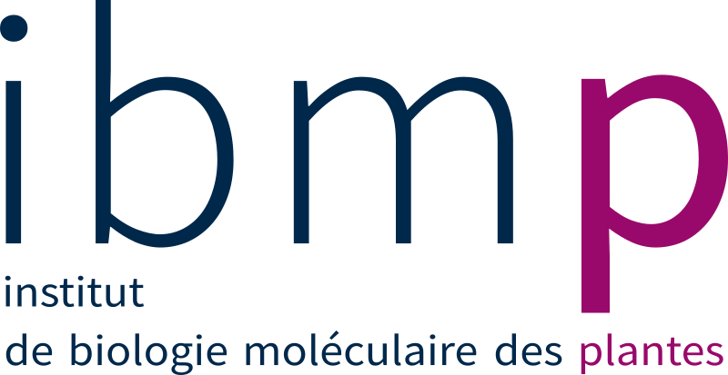 logo ibmp